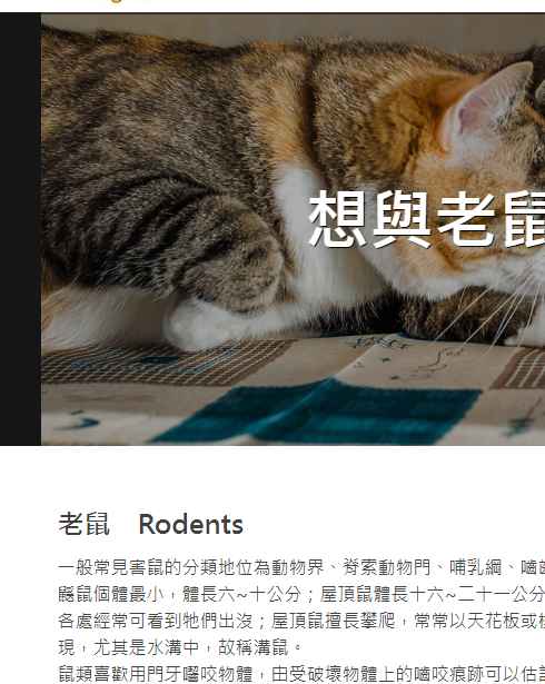 中壢滅鼠公司